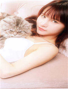 爱唯侦察网址/意难忘演员