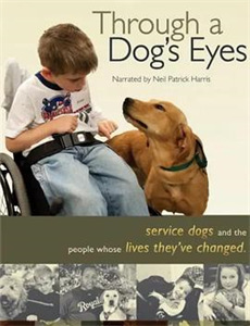 狐妖小红娘：沐天城篇