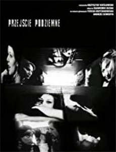 全球末日：我成了救世主