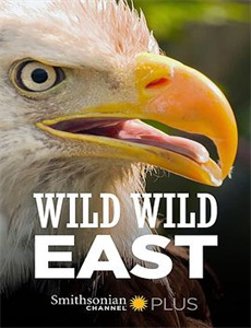 来自星星的事2016